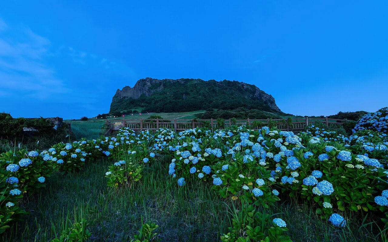 Top Things to Do in Jeju — Budget, booking and written terms