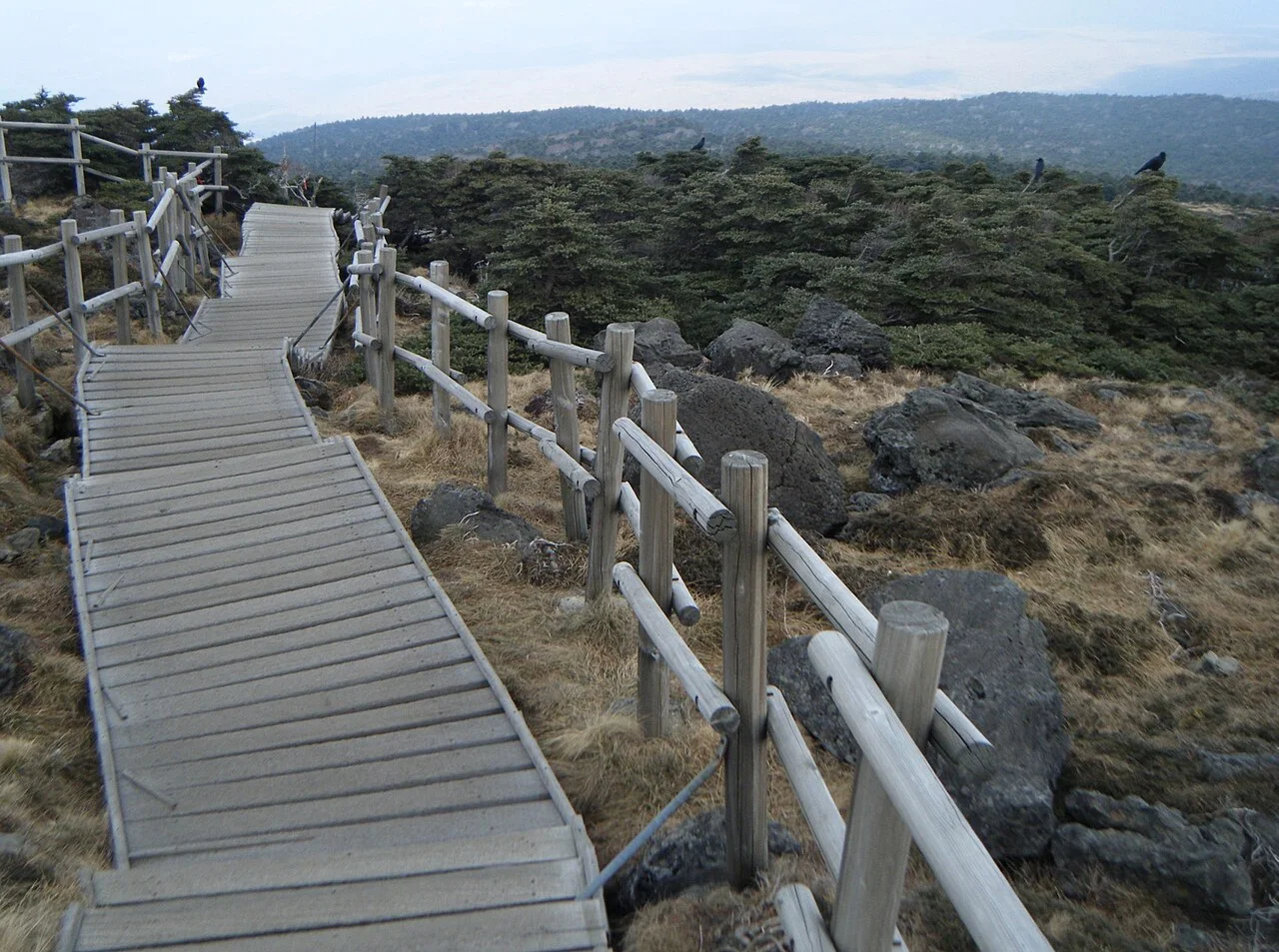 Jeju in 3 Days — planning detail