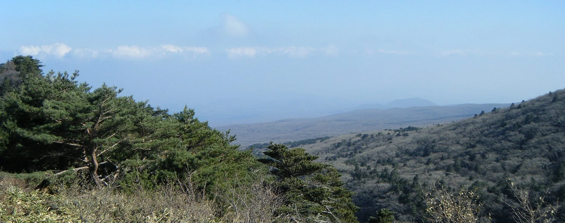 Jeju Without a Car: What Transport Actually Allows