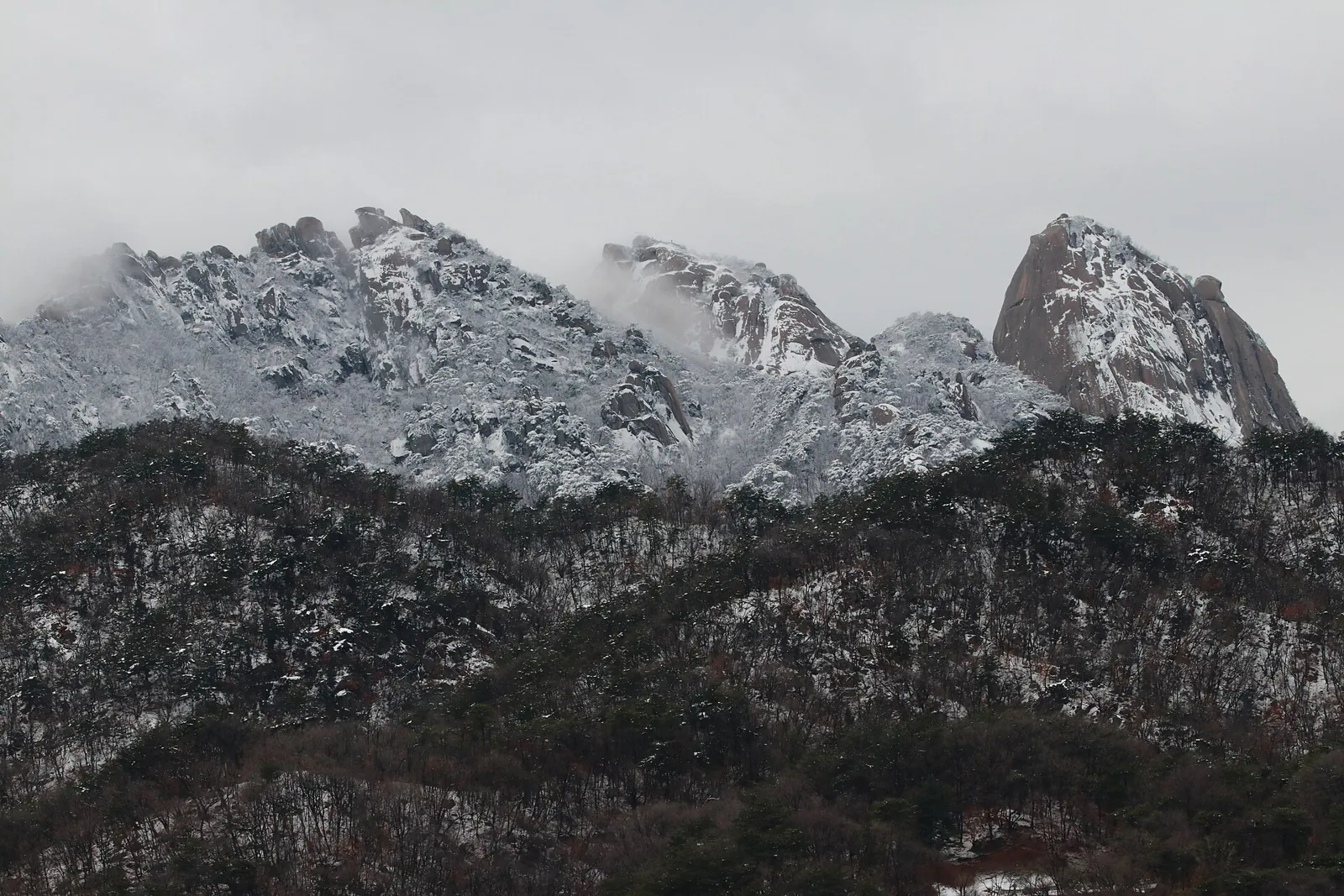 Snow-dusted granite ridgeline of Bukhansan above dark winter forest