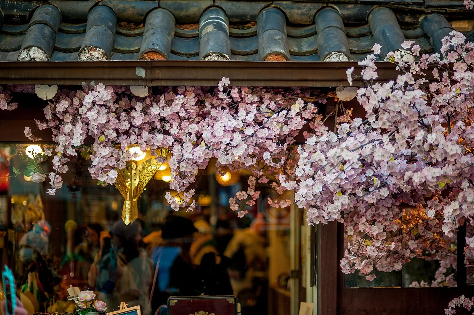 ดอกซากุระห้อยเหนือหลังคากระเบื้องแบบดั้งเดิมและร้านค้าในช็องโนของโซล
