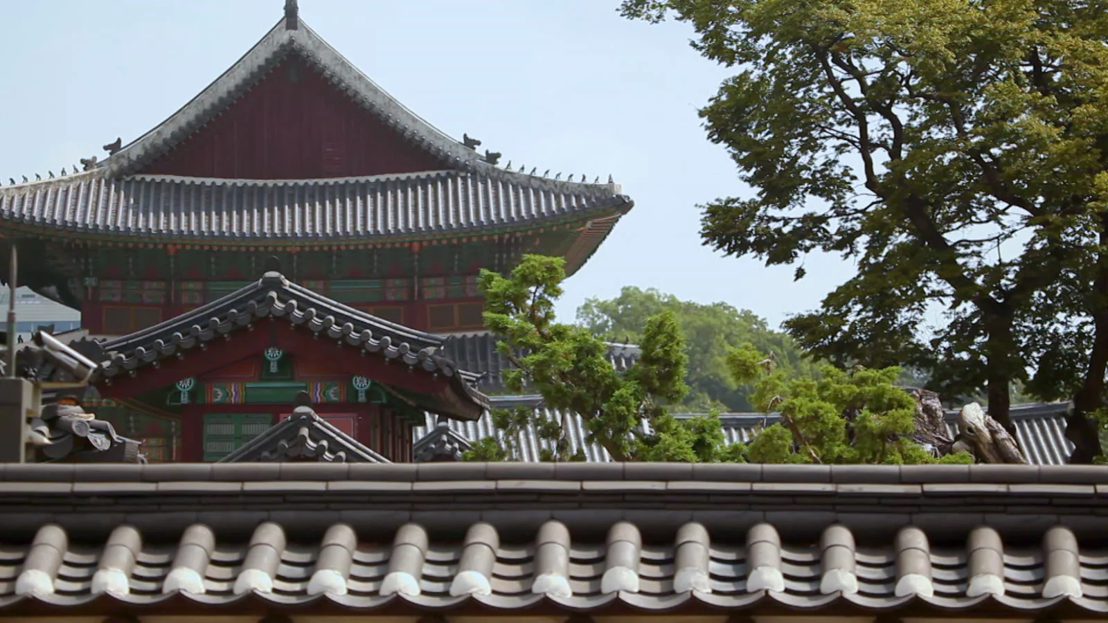 Gyeongbokgung Palace: Hours, Tickets & Tips — Budget, booking and written terms
